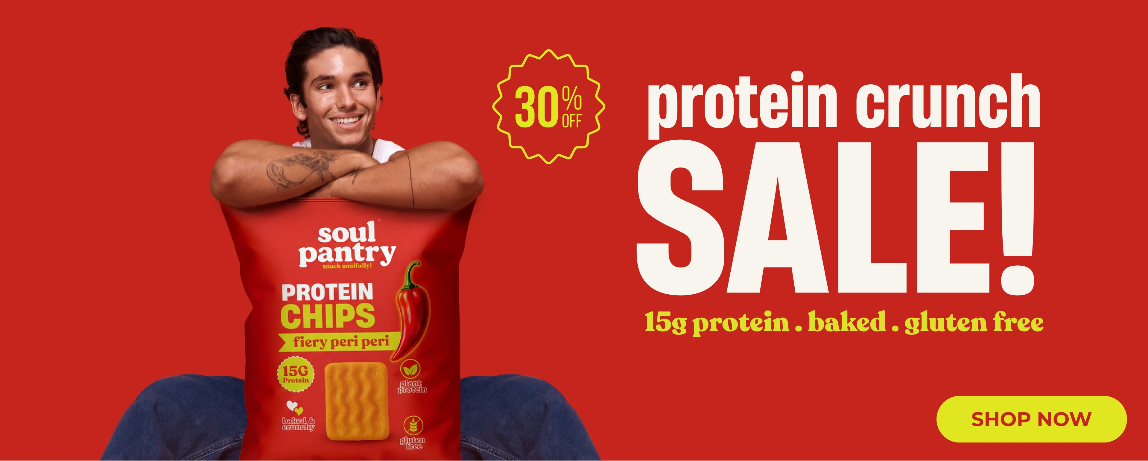 protein chips 30% offer desktop banner